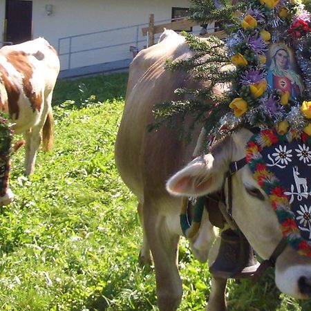 Hotel Gasthof Jaeger Zillertal Schlitters Kültér fotó