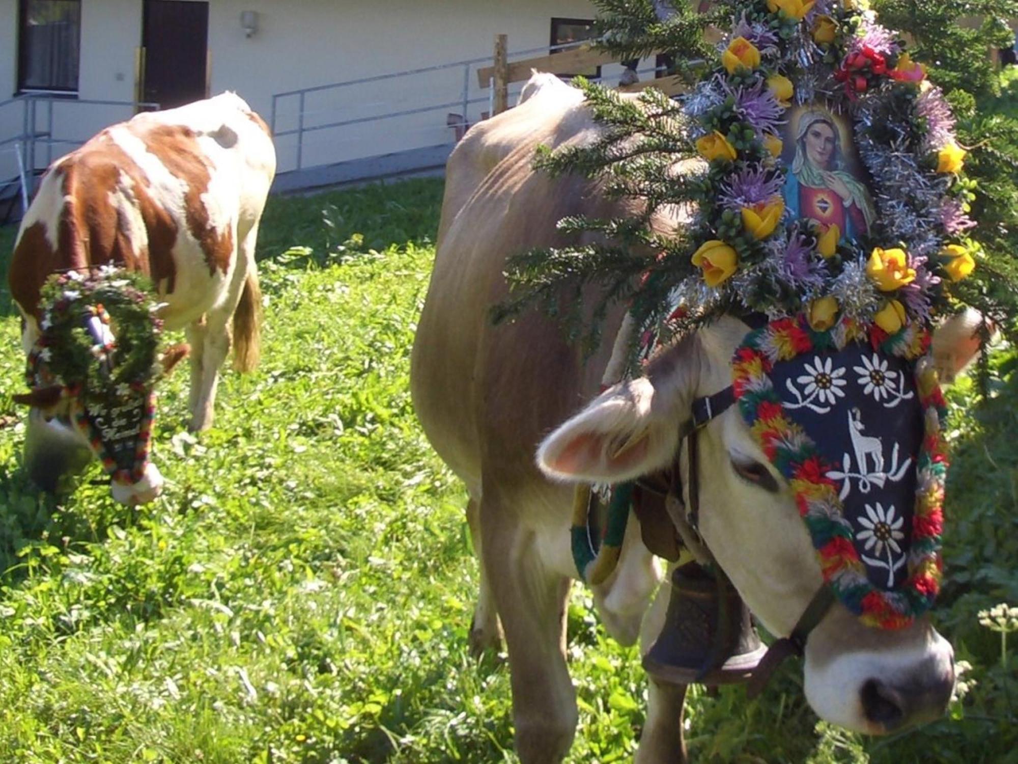 Hotel Gasthof Jaeger Zillertal Schlitters Kültér fotó